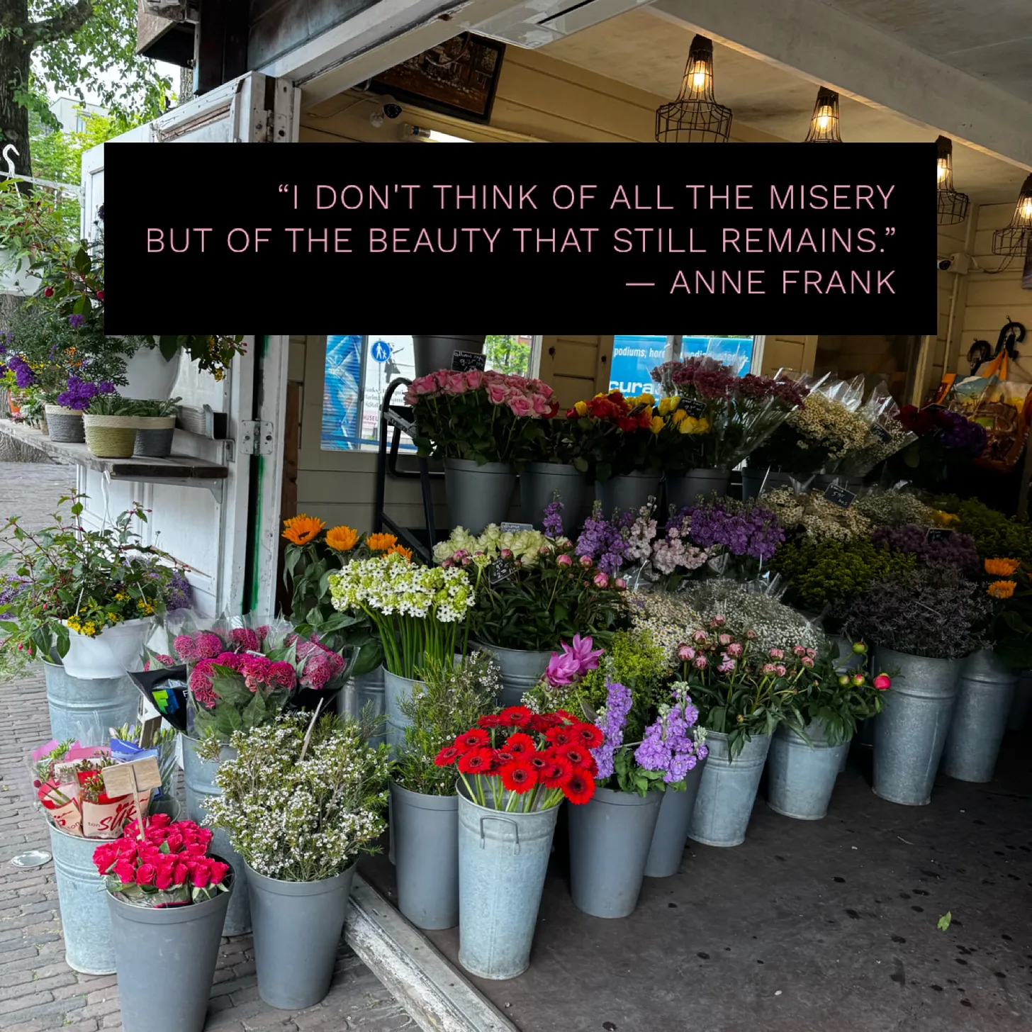 Cycling in Amsterdam … Through Hope and Despair